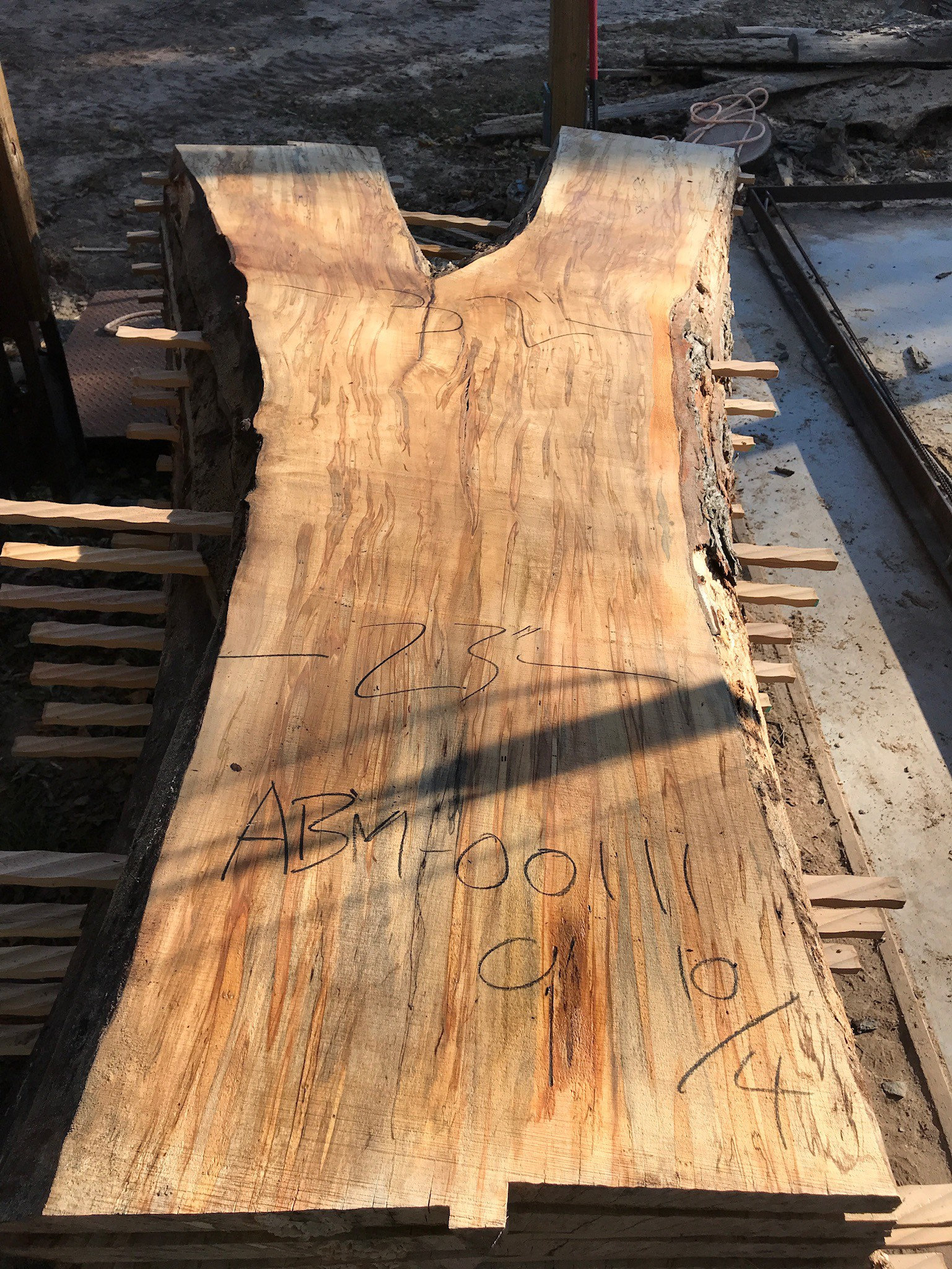 Large Wood Slabs. Long Wood Slabs. Nine Foot Wood Slabs. Maple Wood