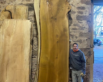 May include: A large, live edge slab of wood with a natural, golden brown color. The slab is standing upright against a stone wall, with a person standing next to it for scale. The slab is approximately 9 feet tall and 2 feet wide.