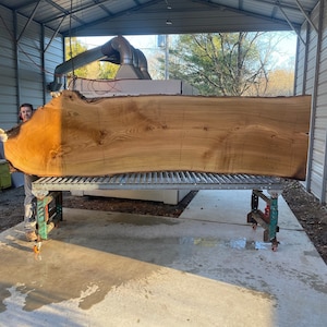 Giant wood slabs reclaimed