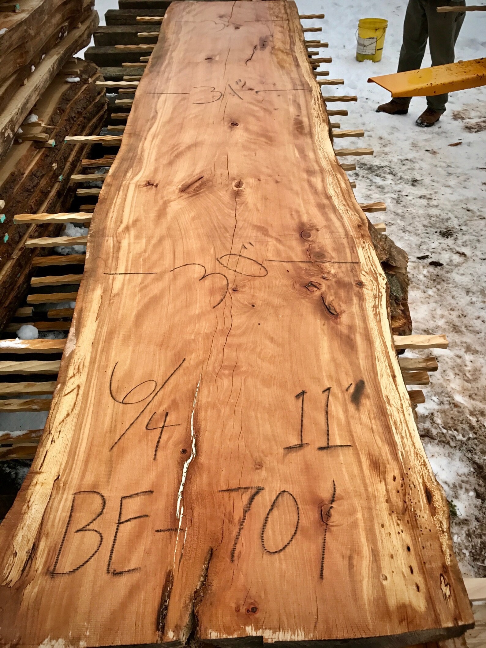 11 Foot Dried Beech Wood Slab. Live Edge Bar Top Etsy