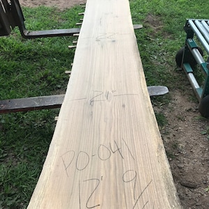 Curly Walnut Wood Slab. 12 Foot Walnut Wood Slab. Long Wood Slab Table. Wood  Slab Coffee Table. Live Edge Wood Slab. 