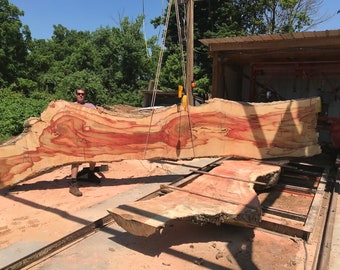 19 Foot Box Elder Wood slabs