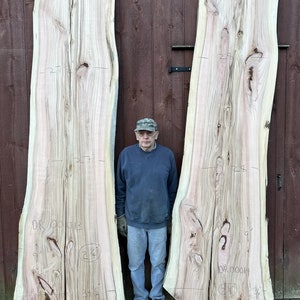 Large Redwood live edge slabs