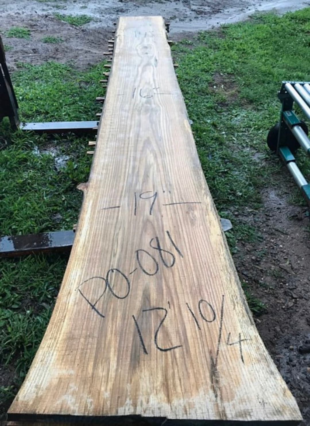 Long Oak Live Edge Wood Slab. Long Live Edge Wood for Sale. Long Live