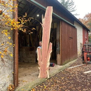 Red Cedar wood slab kiln dried