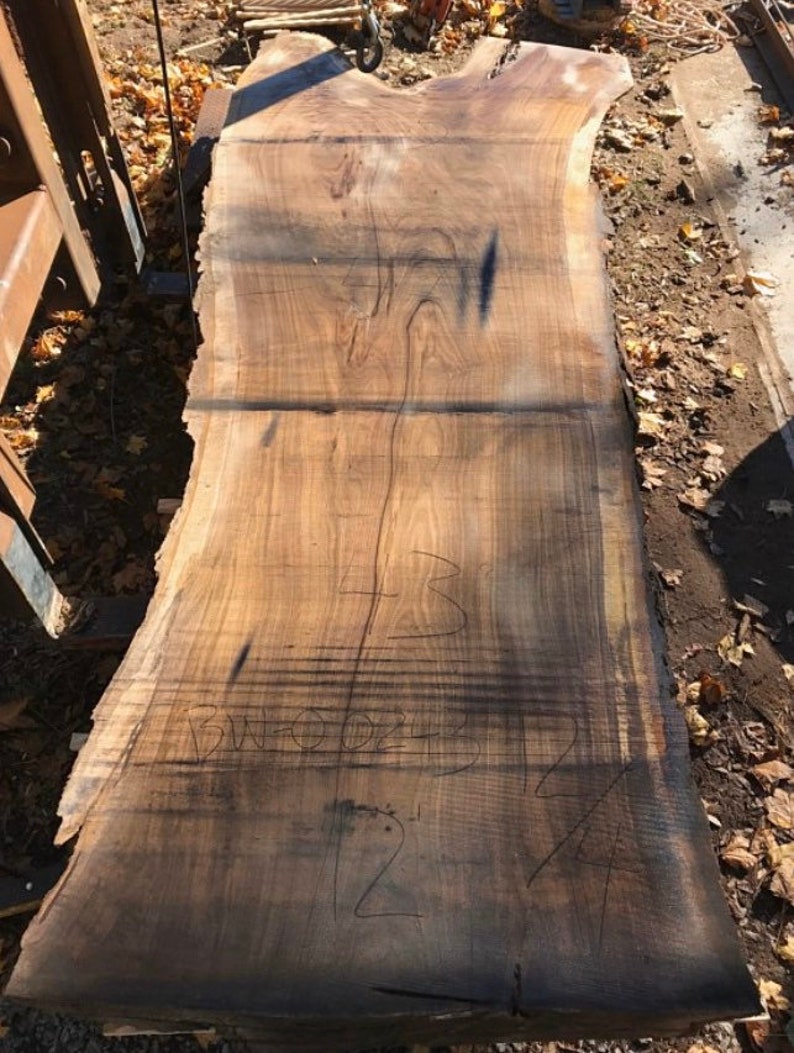 Wide 12 Foot Black Walnut Wood Slab. Long Custom Walnut Table Etsy