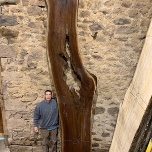 13.5 foot wood slab.  Black Walnut live edge wood slab.  Wood slabs. Long wood slabs.  Live edge table.  Live edge bar top.