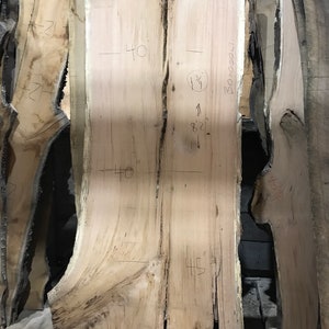 Large black Oak wood slab for sale
