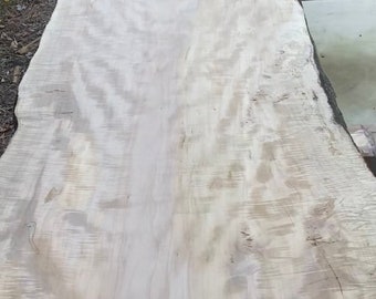 12 Foot silver Maple wood slab for dining table, island.