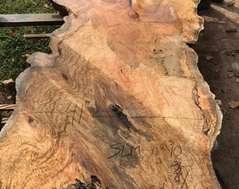 8 foot Spalted Silver Maple wood slab.  Live edge wood slab table.  Wood slabs for sale.  Wood slab coffee table.  Spalted Maple live edge