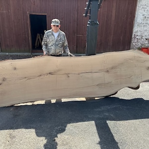 13 Foot White Oak hardwood slabs