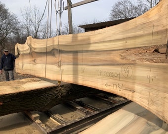 Tulip Poplar | live edge wood | reclaimed wood slabs | kiln dried wood for sale | trusted wood suppliers | woodworking source
