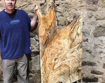 May include: A large, irregularly shaped slab of wood with a light brown and tan color scheme. The wood has a unique grain pattern and several natural holes. The slab is being held by a person.