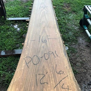 12 ft Pin Oak live edge wood slab.  Live edge Wood slab bar. Live edge coffee table.  Live edge wood shelf.
