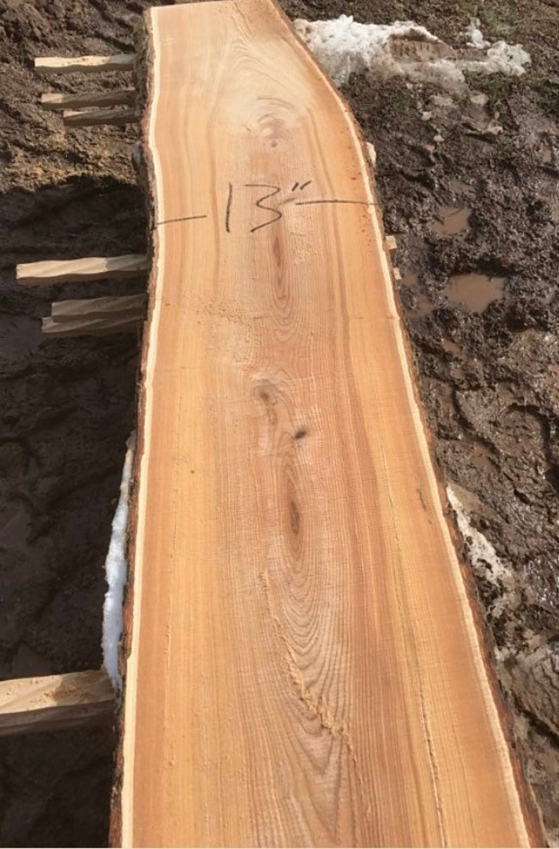 13 Foot Long Wood Slab for Sale. Long Wood Slabs for Sale. Long Live Edge Wood Slabs for Sale