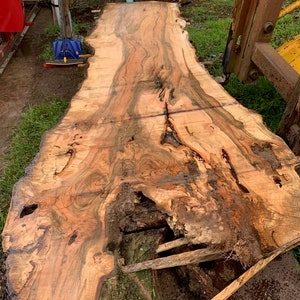 BIG Maple Wood Slab