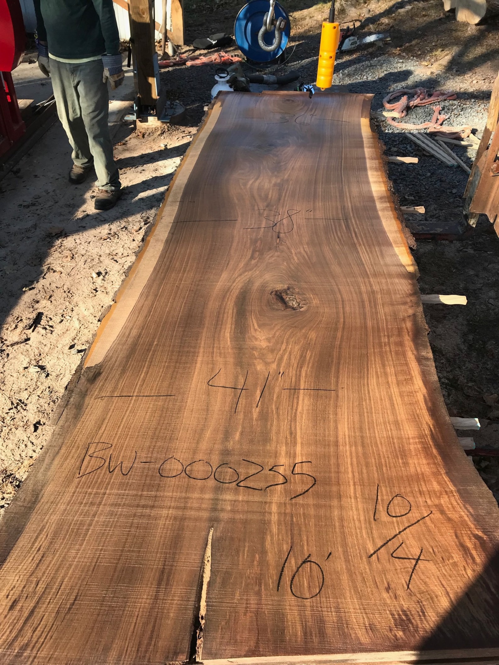 Black Walnut Live Edge Wood Slab. 41 Inch Wide Black Walnut Etsy