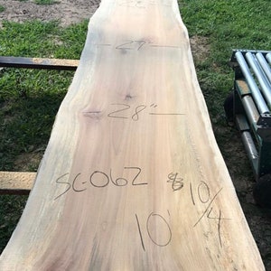 10 foot long Sycamore wood slab.  Wood slabs for sale.  Long Live edge wood slabs.  Live edge coffee table