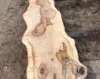 13 Foot Hard Maple Wood Slab dried