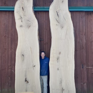 Huge 13 foot White Oak Wood Slabs.