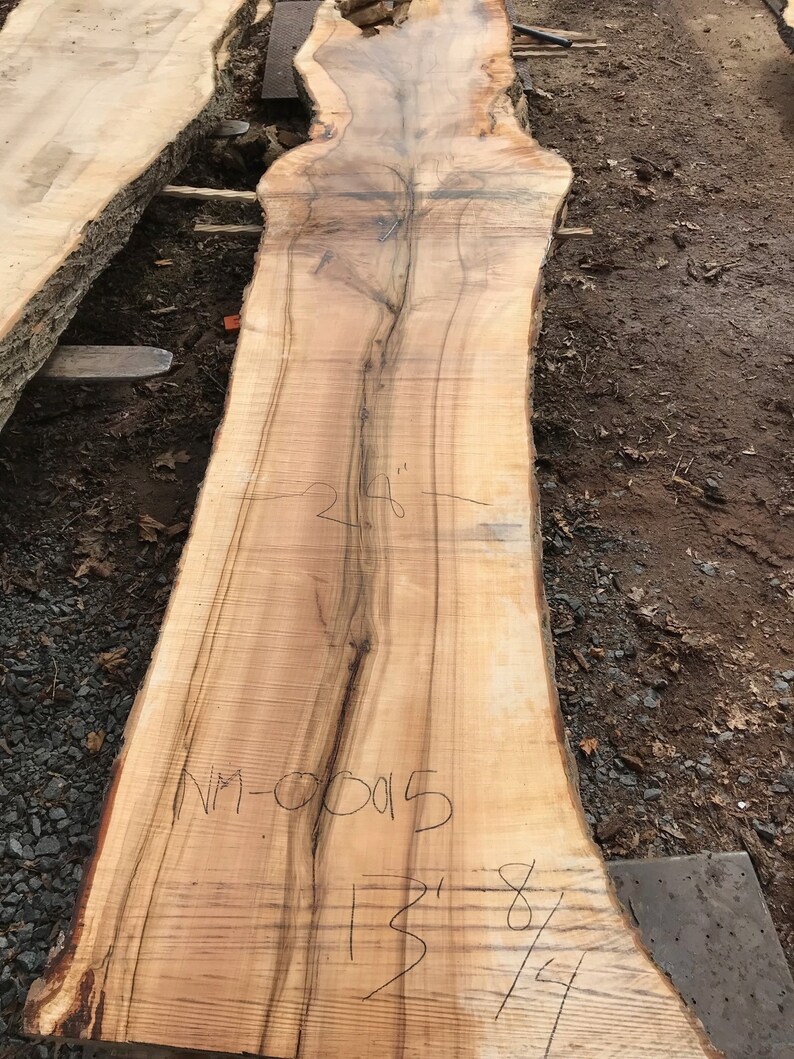 Maple wood slabs for sale. 13 foot Norwegian Maple wood slabs Etsy