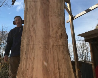 Spalted maple 12 foot. Maple dining table