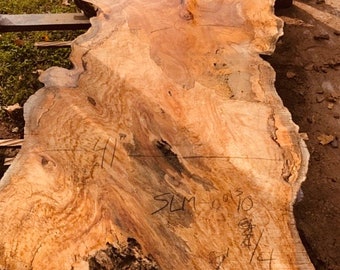 Spalted Maple Live Edge wood slab. Spalted Wood slab Table. Wormy Spalted Maple wood table.  Spalted wood slab