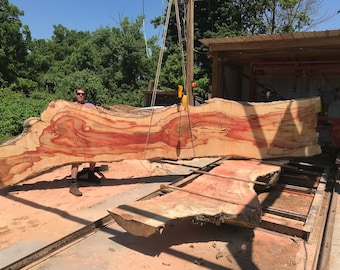 19 foot long box elder live edge wood slab