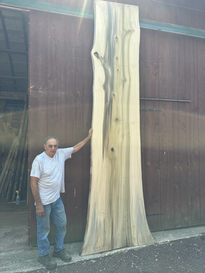 Rainbow Wood Tulip Poplar Slabs - Etsy