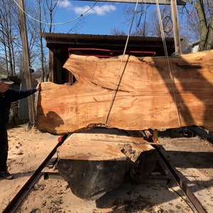 Silver Maple | live edge wood | reclaimed wood slabs | kiln dried wood for sale | trusted wood suppliers | woodworking source