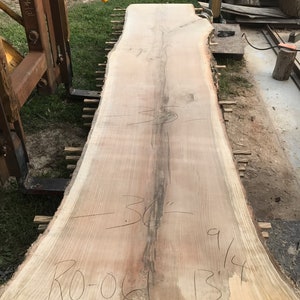 13 foot oak wood slab