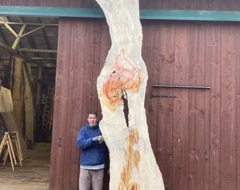 Giant Box Elder | live edge wood | reclaimed wood slabs | kiln dried wood for sale | trusted wood suppliers | woodworking source