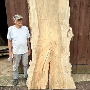 Large Maple wood slabs kiln dried