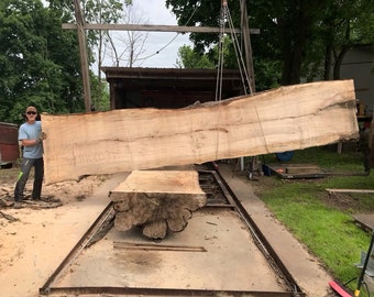 19 Foot long live edge Maple Wood Slabs Kikn dried and planed flat