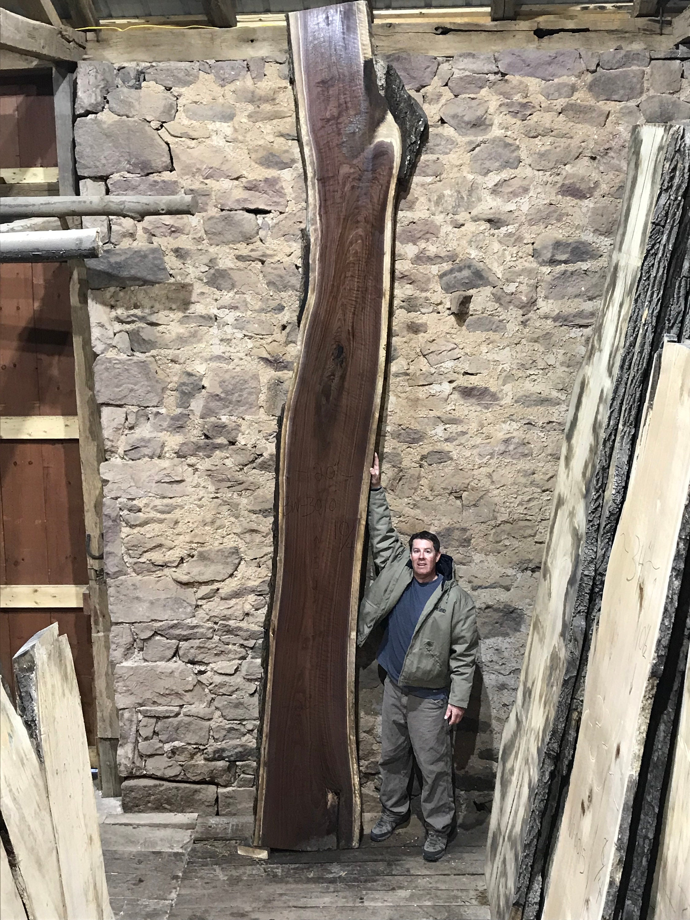 15 Foot Black walnut wood slab. 15 foot walnut slabs for sale. Long walnut wood slabs for sale. 15 foot walnut table