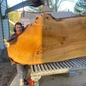 Large dried wood slab live edge