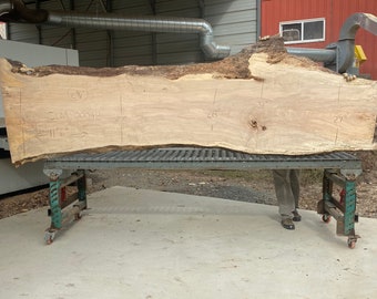 Kiln dried long maple wood slab