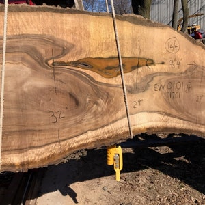 English Walnut | live edge wood | reclaimed wood slabs | Kiln dried wood for sale | trusted wood suppliers | woodworking source