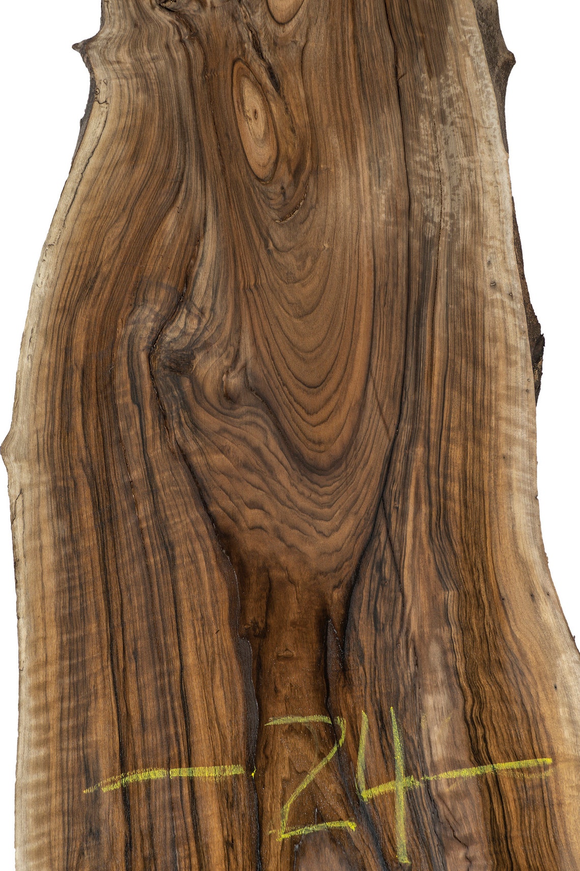 Huge English Walnut Wood Slab. Live Edge English Walnut Slab. Etsy