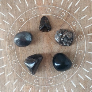 Earth Star Chakra Kit