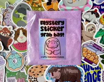Mystery Sticker Grab Bag - 5 Stickers | Waterproof vinyl stickers | Grab bag