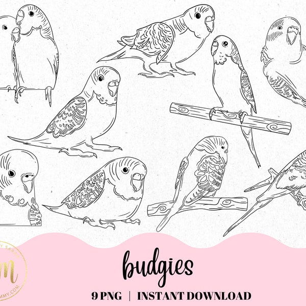 Budgies Lineart Clipart | Botanical, Nature Animal Images, Cute parakeets, colorful birds, green yellow blue parakeet budgies