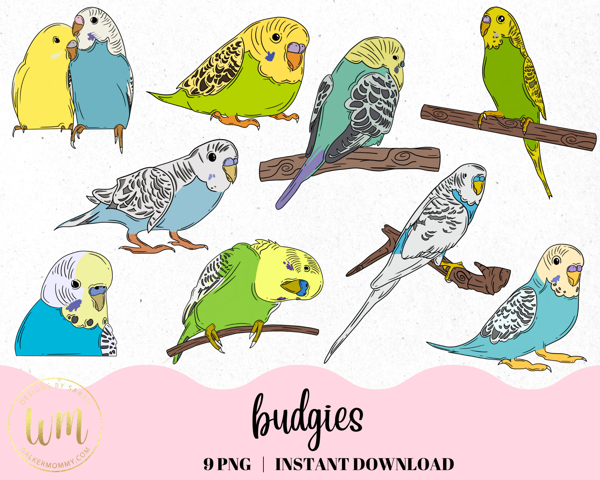Budgies Clipart | Botanical, Nature Animal Images, Cute Parakeets ...