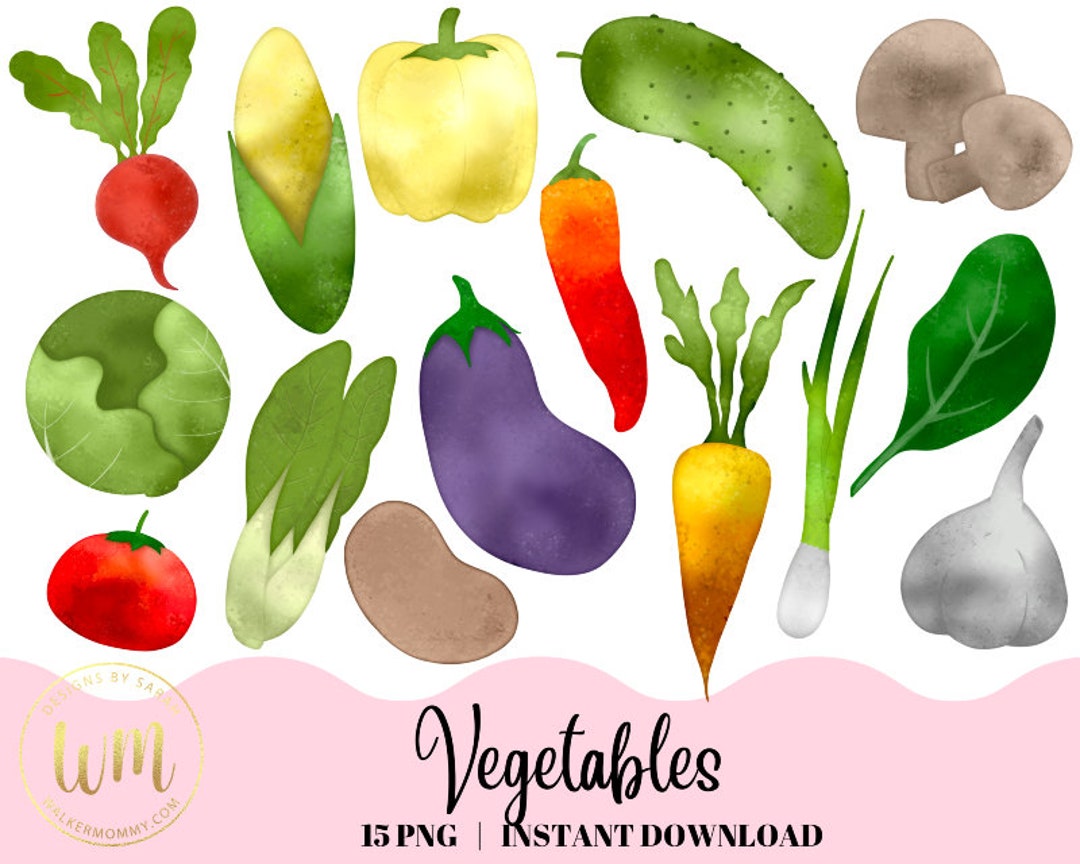 Vegetable Watercolor Clipart Bundle Carrot Potato Tomato - Etsy