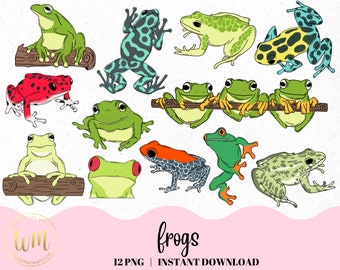 Tropical Frogs Clipart | Botanical, Nature Animal Images, Cute frogs, realistic frog, green red blue frogs