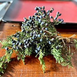 Fresh Juniper Tips with Berries, Wedding & Event Decor