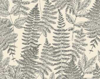 May include: A seamless pattern featuring black and white line drawings of ferns on a cream background.