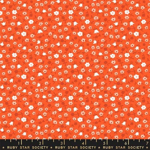 【Calico(♂)】 516oD-5hRXL.jpg