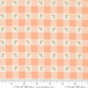 Peachy 31733 17 - Flower Girl Collection by Heather Briggs of My Sew Quilty Life - Moda Fabrics