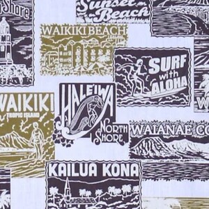 Op de afbeelding: Een vintage stijl illustratie van verschillende Hawa&iuml;aanse stranden, met tekst die "Sunset Beach", "Waikiki Beach", "Surf with Aloha", "North Shore", "Makai Hawaii", "Kailua Kona", en "Waikiki, tropic island" zegt.